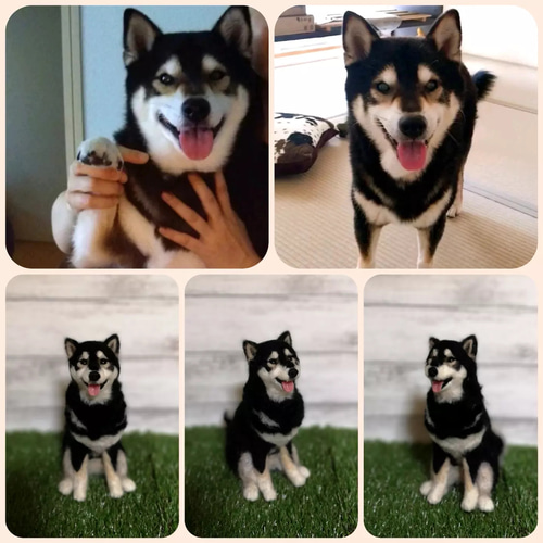 ☆愛犬オーダーメイド☆うちのこ 羊毛フェルト ハンドメイド