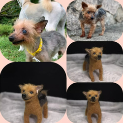 ☆愛犬オーダーメイド☆うちの子　羊毛フェルト　ハンドメイド　メモリアル　いぬ　ペット　オブジェ　ペットロス　犬　イヌ 10枚目の画像