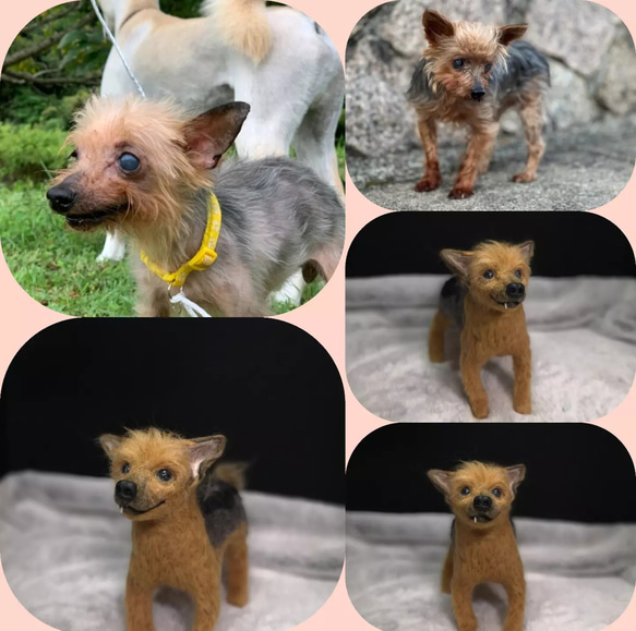 ☆愛犬オーダーメイド☆うちの子　羊毛フェルト　ハンドメイド　メモリアル　いぬ　ペット　オブジェ　ペットロス　犬　イヌ 10枚目の画像