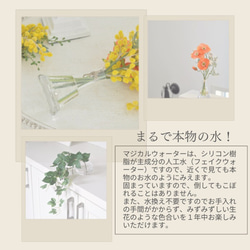 【マジカルウォーターアレンジ】シュガーバインのウォーターアレンジ☆clayガラス使用・観葉植物 7枚目の画像
