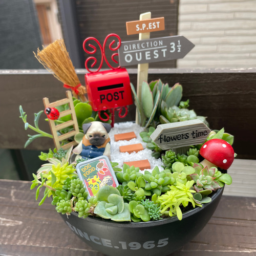 受注制作 動物のいるお庭箱庭風多肉植物寄せ植え 多肉植物 まぁちゃん