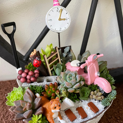 多肉寄せ植え♬箱庭♬子豚 プレゼントにも〜受注制作 わんちゃんガーデン箱庭風多肉植物