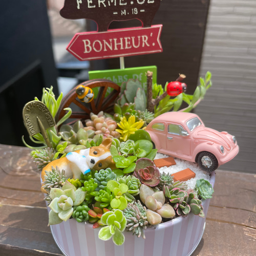 値下げしました♪♪★★箱庭風❤️★寄せ植え★このまま飾れます★多肉植物★★ 受注制作 自転車のあるお庭箱庭風多肉植物寄せ植え 多肉植物