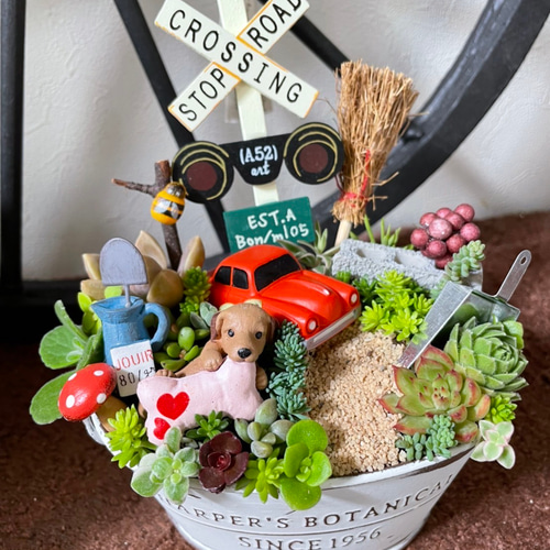 多肉寄せ植え♬箱庭♬子豚 多肉寄せ植え♬箱庭♬子豚 多肉寄せ植え♬箱庭♬子豚