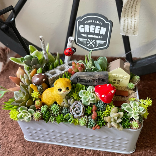 値下げしました♪♪★★箱庭風❤️★寄せ植え★このまま飾れます★多肉植物★★ 受注制作 ゲート箱庭風多肉植物寄せ植え その他インテリア雑貨