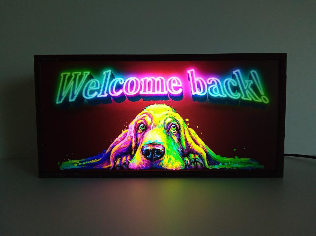 可愛い ペット バセット ワンちゃん おかえり 犬 イヌ いぬ サイン 看板 置物 雑貨 LED2wayライトBOX