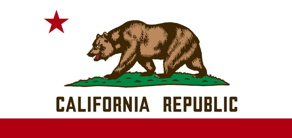 カリフォルニアパブリック カリフォルニア共和国 熊 サイン ランプ 看板 置物 雑貨 ライトBOX 電飾看板 電光看板 8枚目の画像
