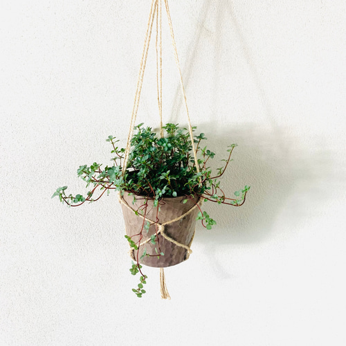 パンノキ　約110cm 鉢　観葉植物　グリーン　レア　green インテリア パンノキ 約110cm 鉢 観葉植物 グリーン レア green インテリア