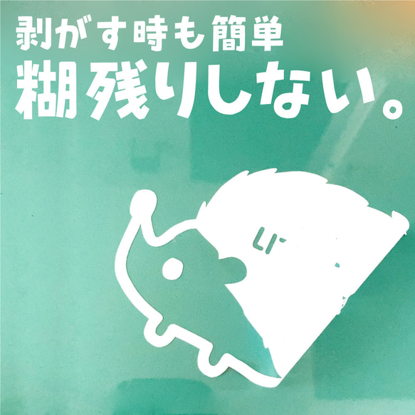  第8張的照片