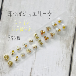 耳つぼジュエリー20粒✧̣̥̇小さなcuteフラワー✧̣̥̇セラミック粒