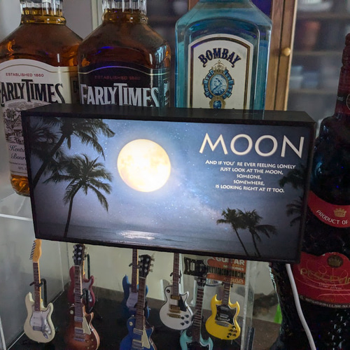 月 ムーン 月明り 夜 海 フォトライト 南国 ヤシの木 ビーチ