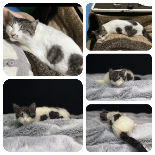 猫さん♡オーダー確認用