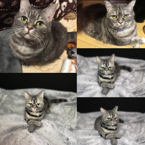 ☆愛猫オーダーメイド☆うちの子 猫 ハンドメイド ねこ メモリアル