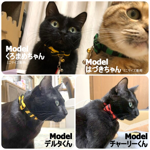 どどんと！トラ柄リボン＊猫ちゃん首輪 リード・首輪 Atelier LEON