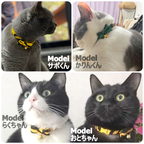 どどんと！トラ柄リボン＊猫ちゃん首輪 リード・首輪 Atelier LEON