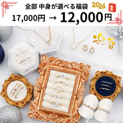 17,000円➡12,000円【新春福袋2026年】＊数量限定販売 中身が全部 