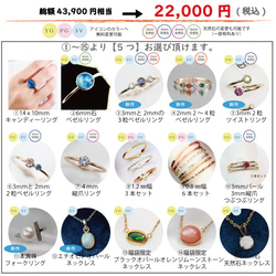 43,900円➡22,000円【2024年新春福袋】＊数量限定販売／中身が全部選べる福袋　＊Creema限定 2枚目の画像