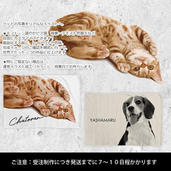 送料無料｜オーダーメイド-猫 犬 ペット写真でブランケット ひざ掛け 猫 犬：リアルイラスト 2枚目の画像