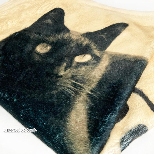 2匹 薄暗く 三毛猫 完成品 プチブロック 動物
