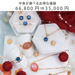 66,800日圓➡35,000日圓【2024年新年福袋】*數量有限/可選擇所有內容的福袋*Creema限定 第1張的照片