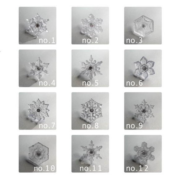 雪の結晶標本ネックレス　サージカルステンレス　《2月末まで》 3枚目の画像