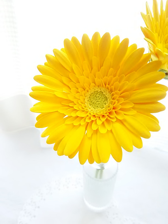 【訂做】❁ 黃泥花非洲菊 2 件套，室內花，單花花瓶❁ 第4張的照片