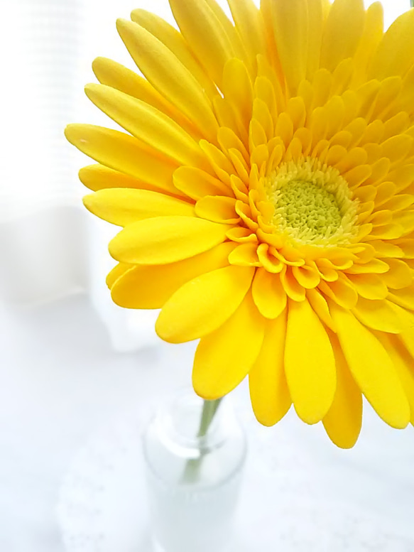 【訂做】❁ 黃泥花非洲菊 2 件套，室內花，單花花瓶❁ 第10張的照片