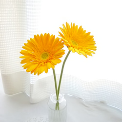 【訂做】❁ 黃泥花非洲菊 2 件套，室內花，單花花瓶❁ 第5張的照片
