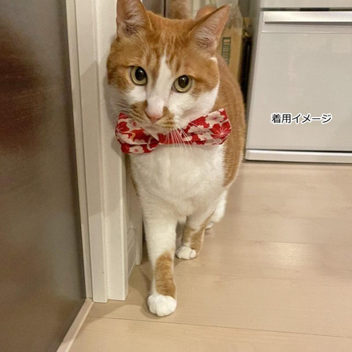 ひな祭り ペットとお揃い 犬用 猫用 和柄リボンカラー 八重桜 紫