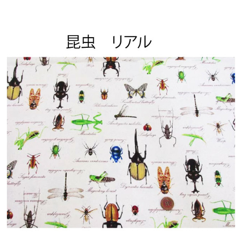 ナップサック 体操服入れ お着替え袋 昆虫図鑑柄×ブラック