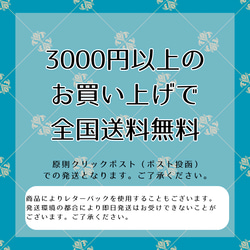 【受注製作品】社交ダンス競技・デモンストレーション用ピアス イヤリング 金具選択可 オーロラ F04 6枚目の画像