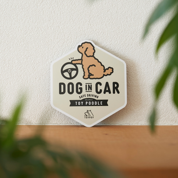 【トイプードル A】DOG IN CAR マグネットステッカー 1枚目の画像