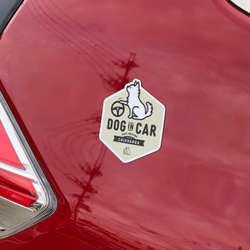 【チワワ A】DOG IN CAR マグネットステッカー 4枚目の画像