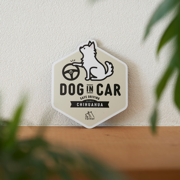 【チワワ A】DOG IN CAR マグネットステッカー 1枚目の画像