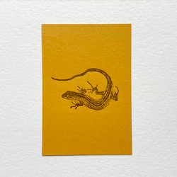 カナヘビのポストカード 2枚目の画像