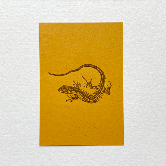 カナヘビのポストカード 2枚目の画像