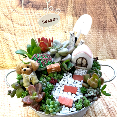 ギフトにも〜受注制作 円形ブリキトイプードル箱庭風多肉植物寄せ植え