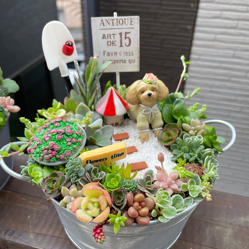 ギフトにも〜受注制作 円形ブリキトイプードル箱庭風多肉植物寄せ植え