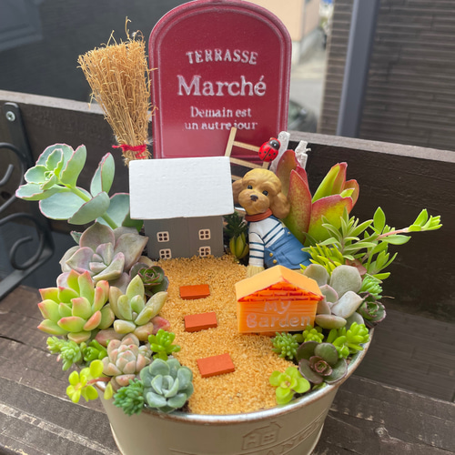 ギフトにも〜受注制作 円形ブリキトイプードル箱庭風多肉植物寄せ植え