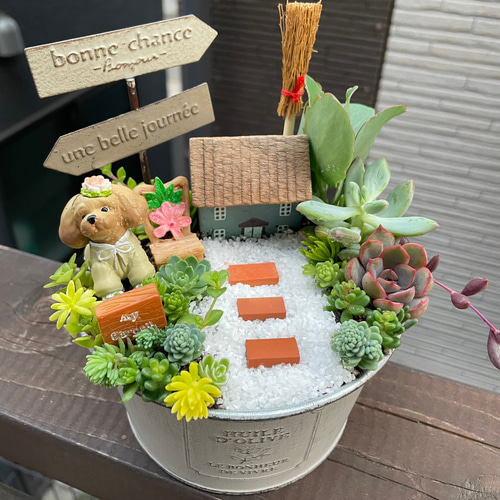 ギフトにも〜受注制作 円形ブリキトイプードル箱庭風多肉植物寄せ植え