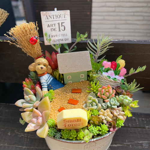 ギフトにも〜受注制作 円形ブリキトイプードル箱庭風多肉植物寄せ植え
