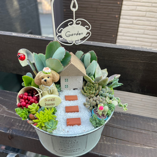ギフトにも〜受注制作 円形ブリキトイプードル箱庭風多肉植物寄せ植え