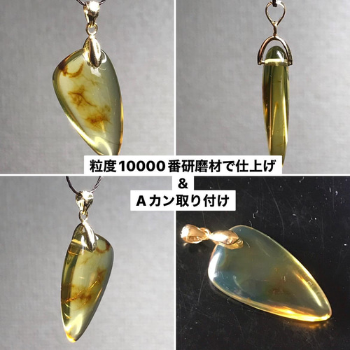 虫入り琥珀研磨セット1【ドミニカ共和国産】 キット reboot 通販