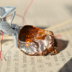 虫入り琥珀研磨セット1【ドミニカ共和国産】 キット reboot 通販