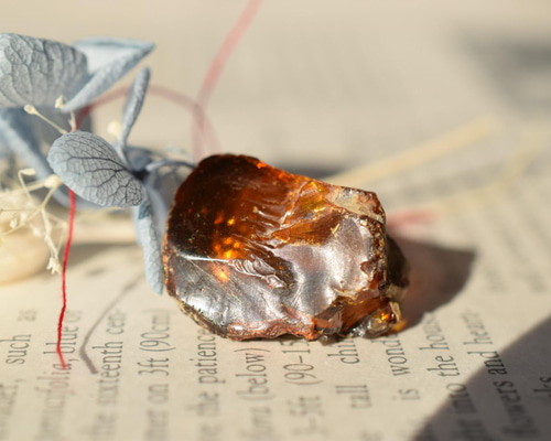 虫入り琥珀研磨セット1【ドミニカ共和国産】 キット reboot 通販