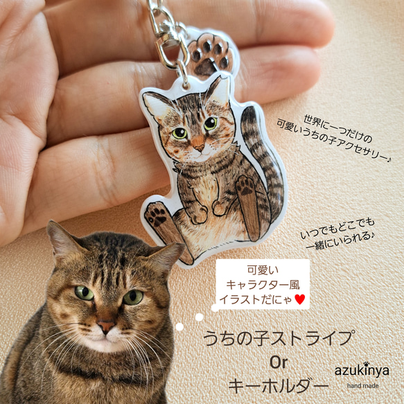 世界に一つだけ♪キャラクタータッチ 肉球パーツ付きうちの子 