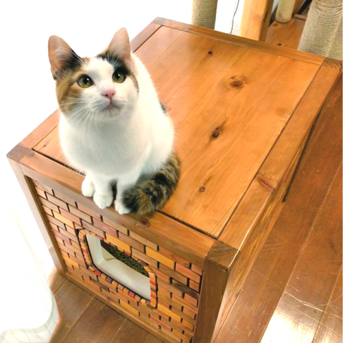 猫ちゃんのトイレカバー ハウス・小屋 はなたまfurniture 通販