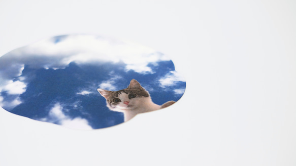 雨上がりコースター／ 猫と緑 1枚目の画像