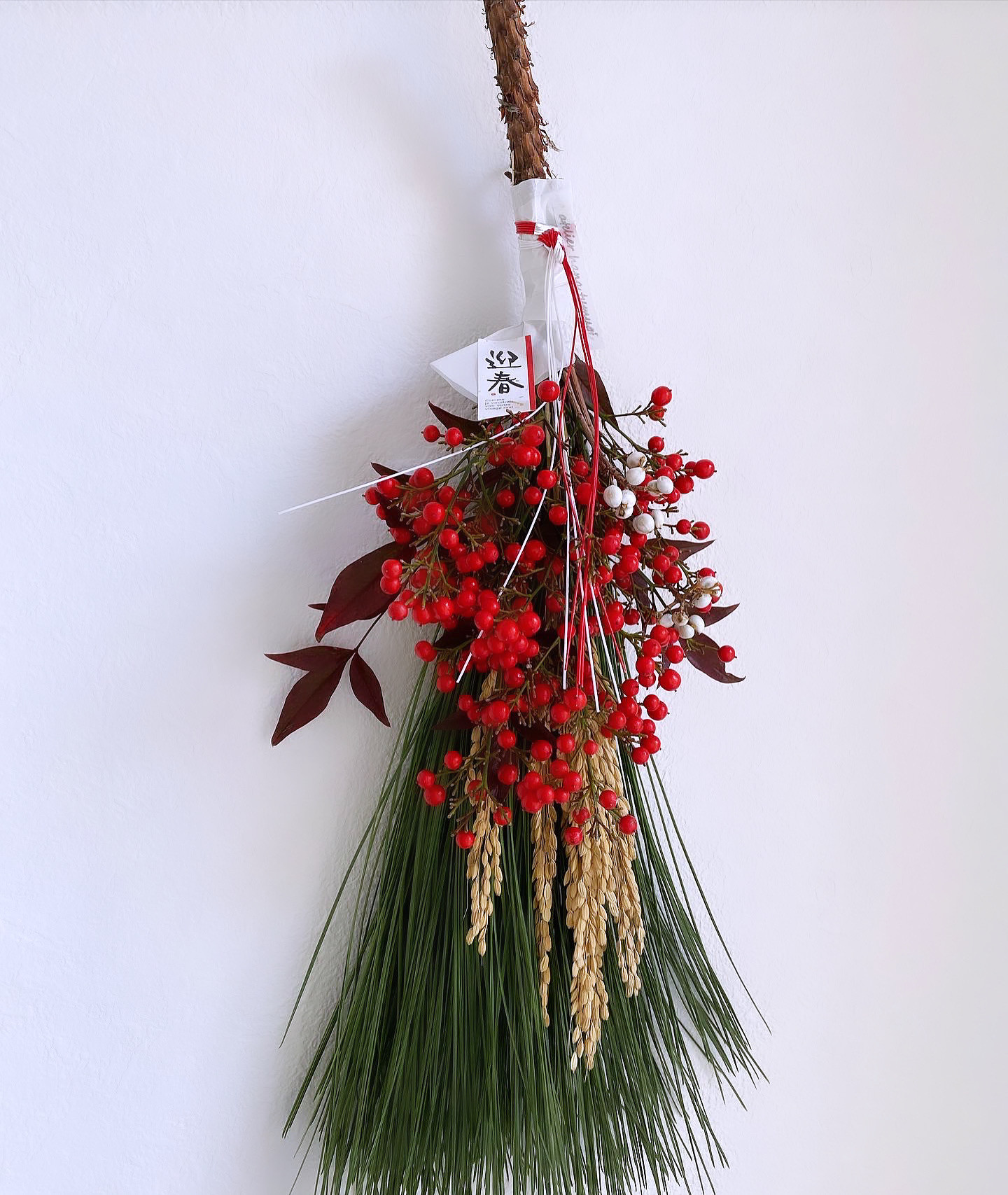 松とプロテアロビンのお正月しめ縄