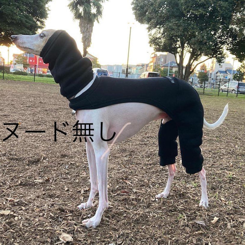 イタグレ服 サロペット ペット服・アクセサリー pinochle 通販